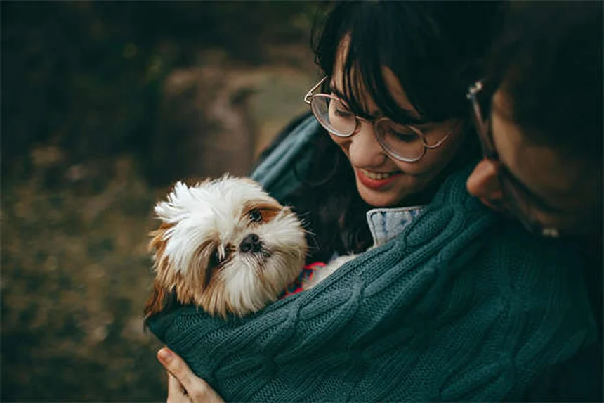 乳酸リンゲル液で子犬・子猫の脱水対策！皮下点滴・静脈輸液のコツと注意点